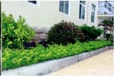 product-227-152 product-227-152