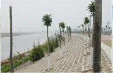 product-229-149 product-229-149